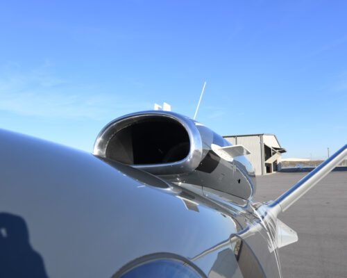 Photo by David Pippin